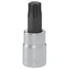 Douille Tournevis 1/4" TORX T40 - FACOM | RX.40T