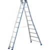 Echelles Platinium transformable 2 plans 2x12 échelons Tubesca-Comabi | 02442612