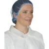 Filet a cheveux (multichoix) - GISS | 861519