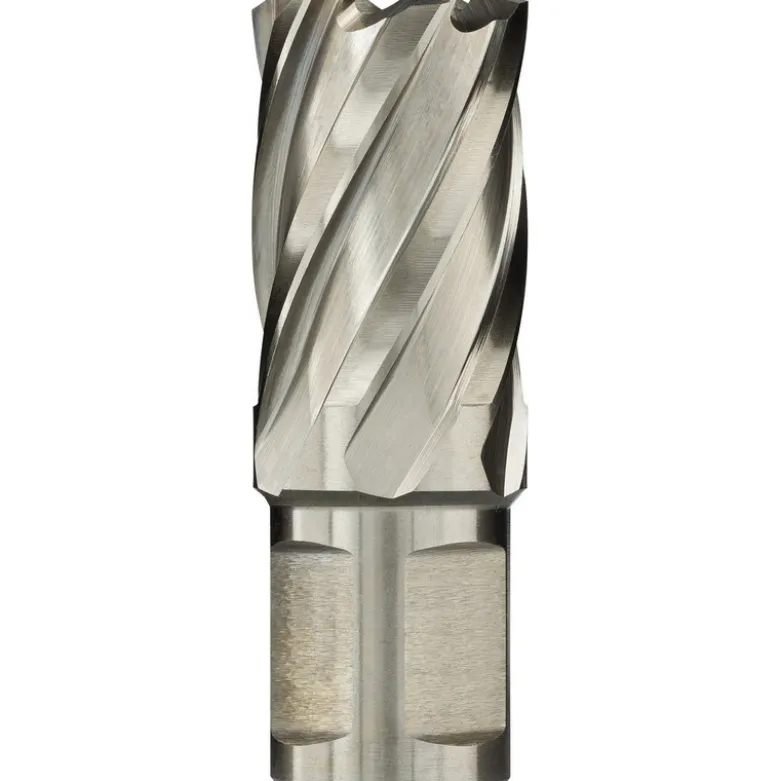 Fraise à carotter HSS longueur 30mm queue Weldon (multichoix) - ROEBUCK | 866663
