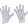 GANTS CUIR MAITRISE (TAILLE 10) (PAIRE) TALIAPLAST | 371125