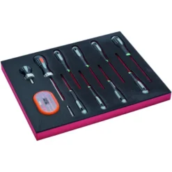 Jeu de tournevis TORX®, module mousse 2/3 Fit&Go - 12 pcs - Bahco | FF1F1005