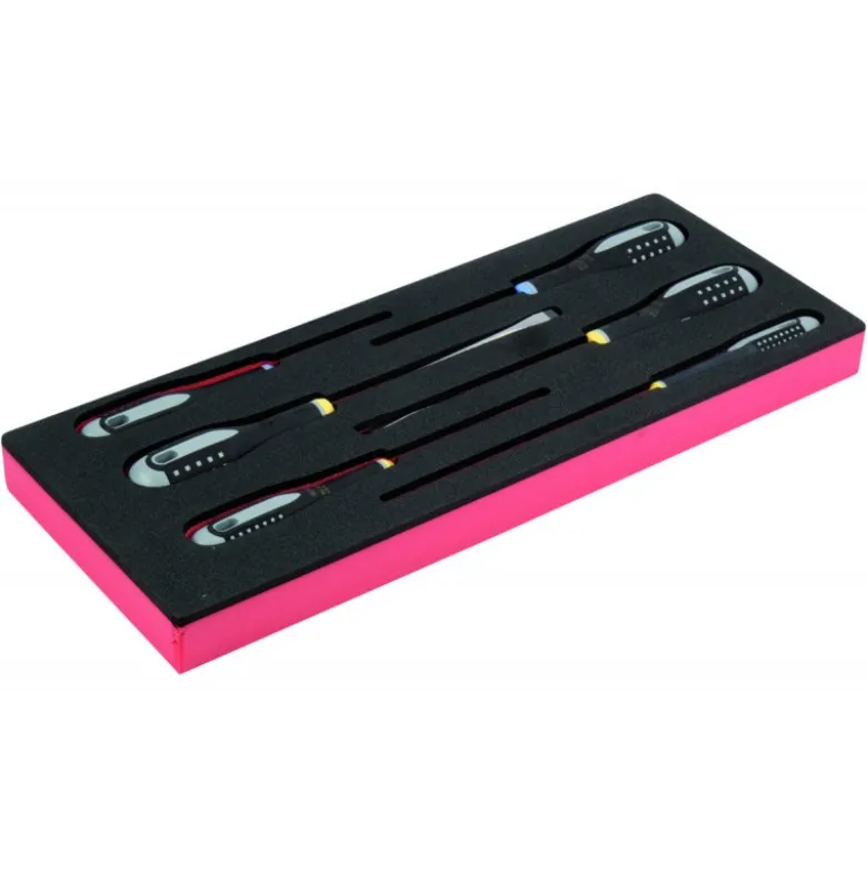 Jeu de tournevis vis à fente/Pozidriv, module mousse 1/3 Fit&Go - 6 pcs - Bahco | FF1E1003