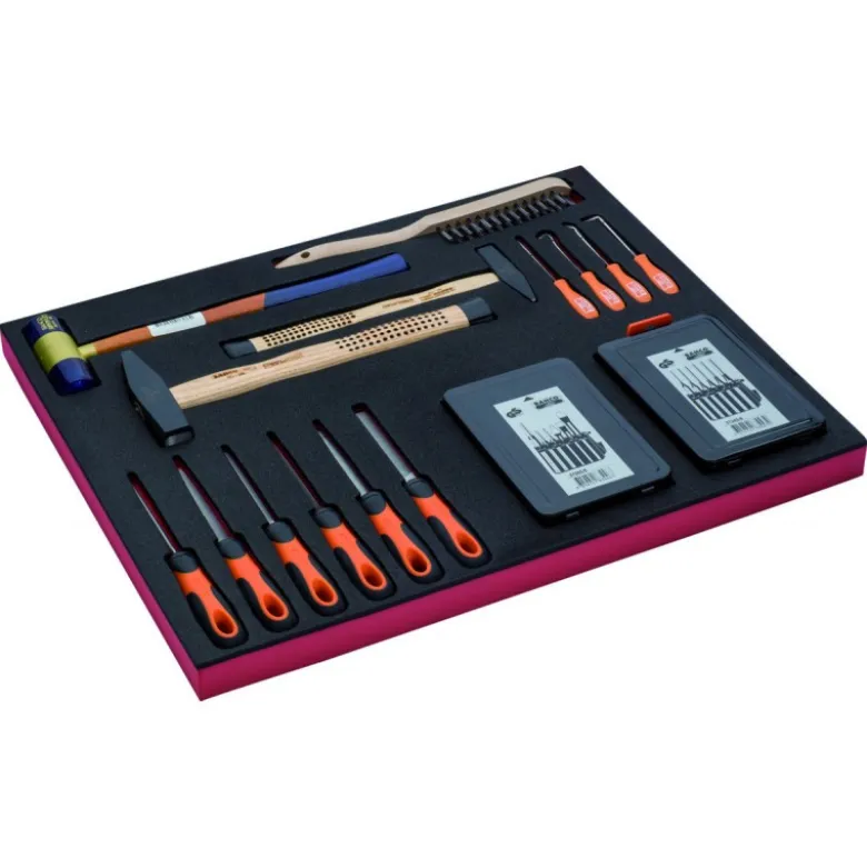 Jeu d'outils de frappe/limes, module mousse 3/3 Fit&Go - 24 pcs - Bahco | FF1A18