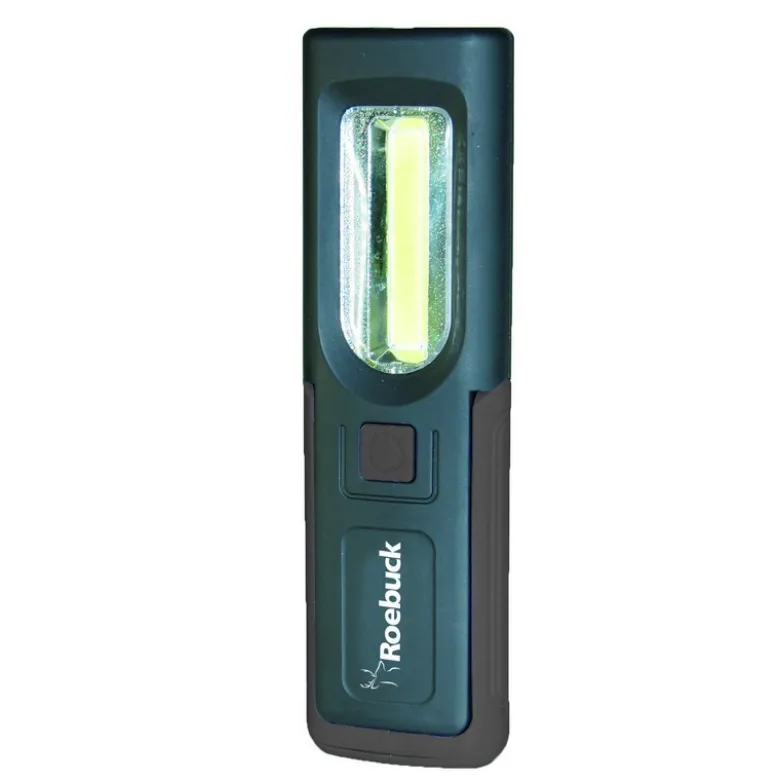 LAMPE LED EASY LIGHT - ROEBUCK | 867717