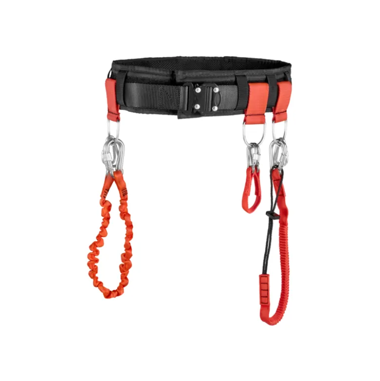 Longe 1,2 m Double mousquetons 80mm en inox à vis (SLS) Facom | LAN1.2
