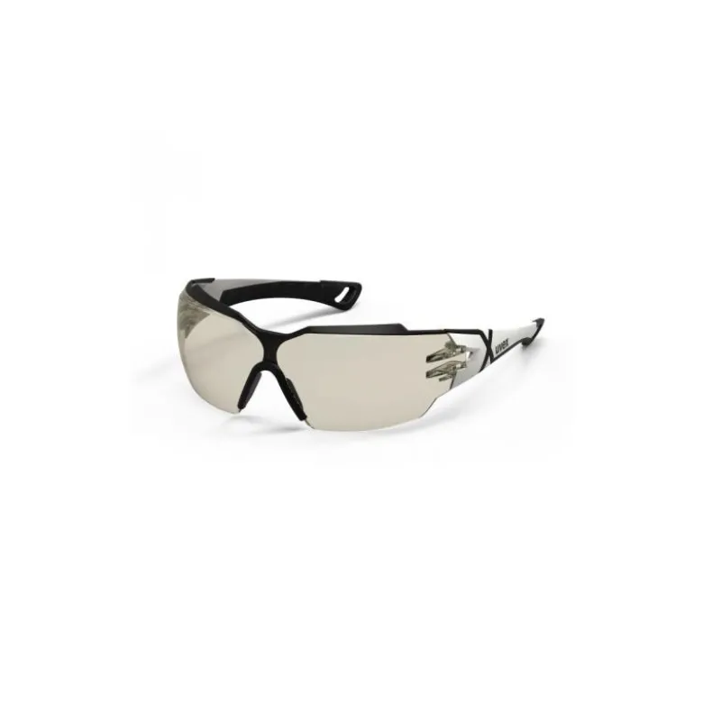 Lunettes de protection à branches Pheos CX2 Uvex | 9198064