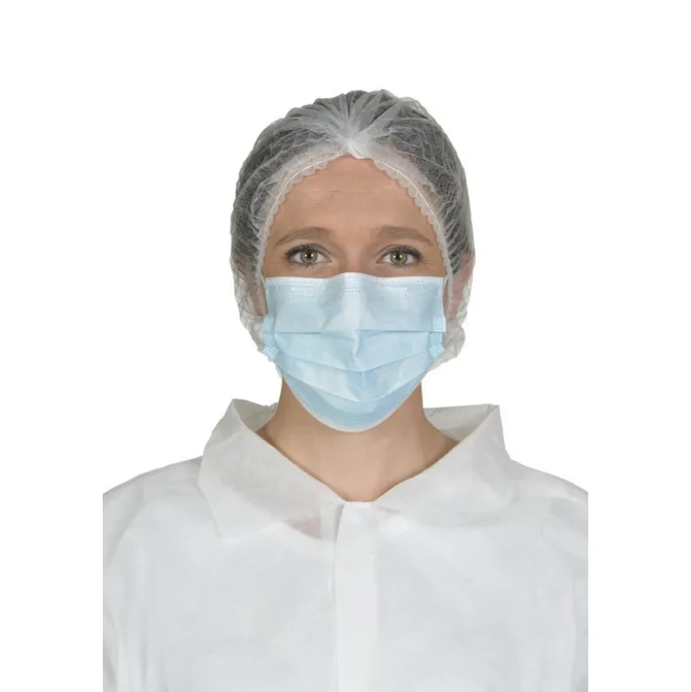 Masque d'hygiène - GISS | 861528