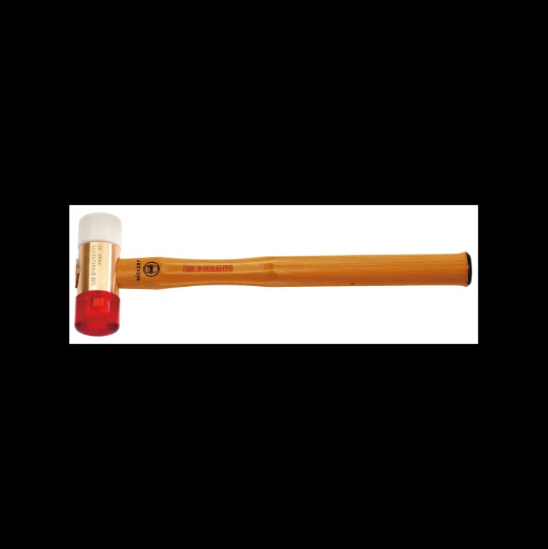 Massette 615 grammes à embouts interchangeables 40mm Facom | 208A.40CBA