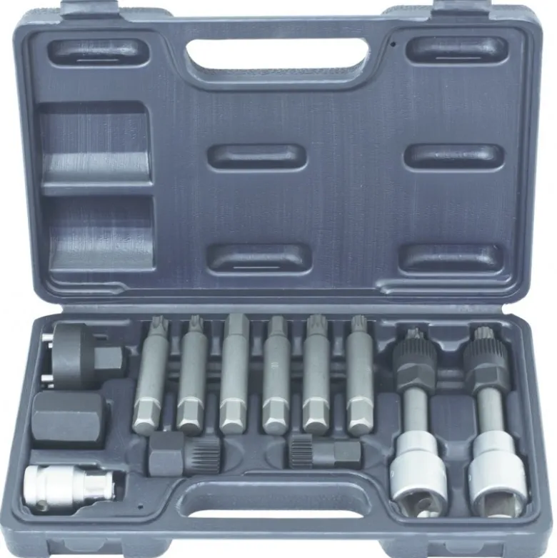 Module d'outils pour poulies débrayables d'alternateurs, 13pcs - KS Tools | 150.3100