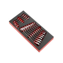 Module mousse 12 clés mixtes à cliquet 467B Facom | MODM.467BJ12PB