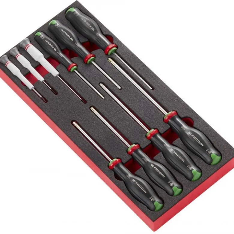 Module mousse 10 tournevis Protwist Torx - FACOM FRANCE | MODM.AT6PB