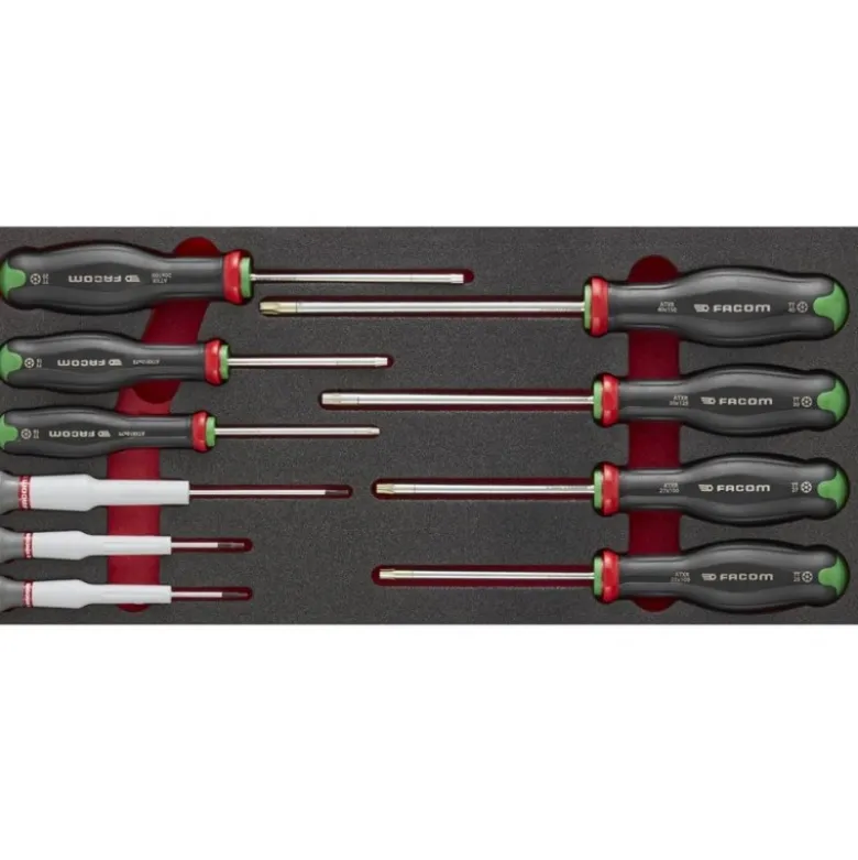 Module mousse 10 tournevis Protwist Torx - FACOM FRANCE | MODM.AT6PB